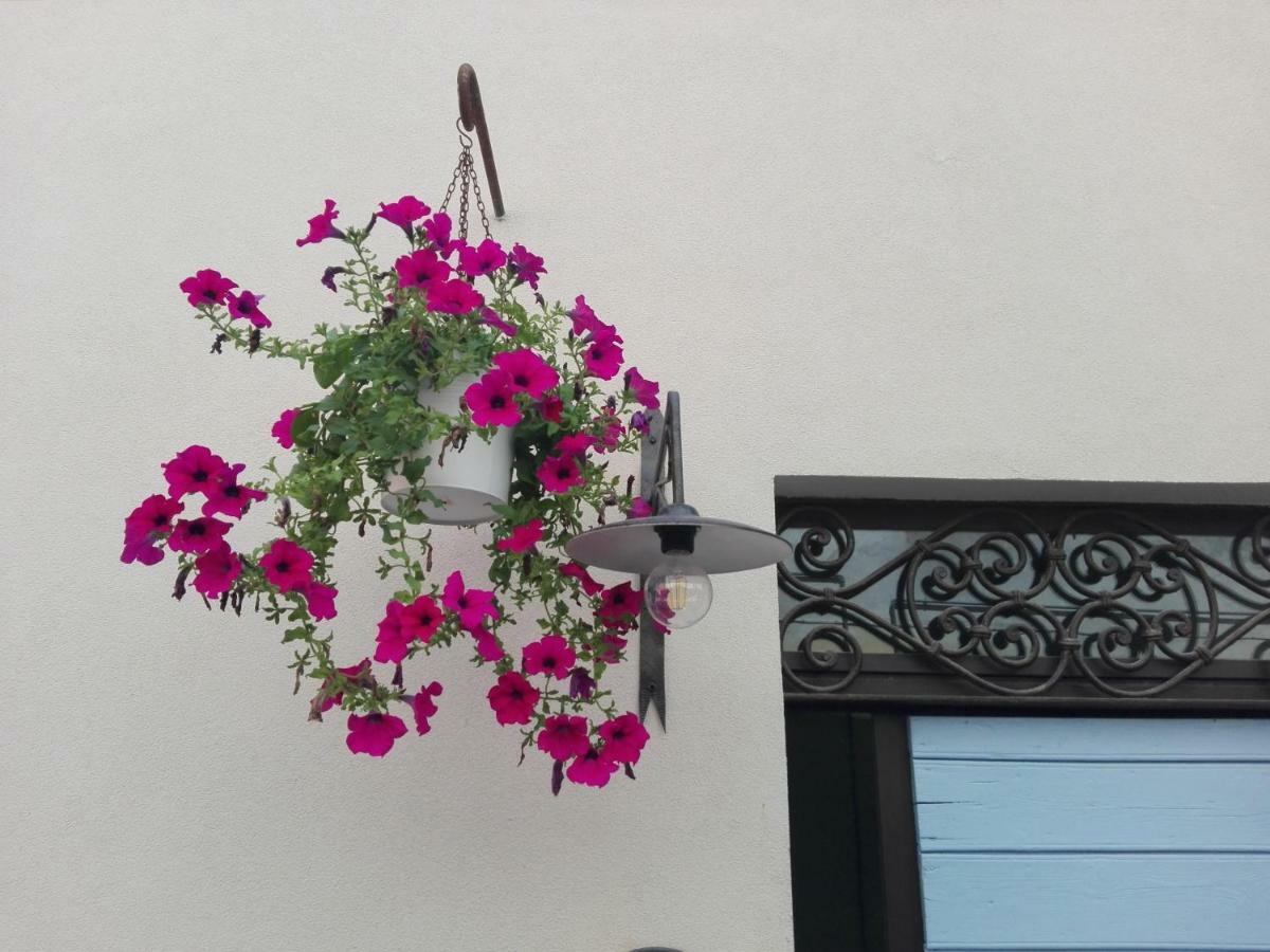 Tambien B&B Pesaro Exterior photo